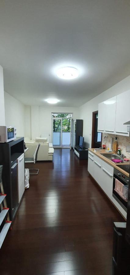 Moser Apartment *