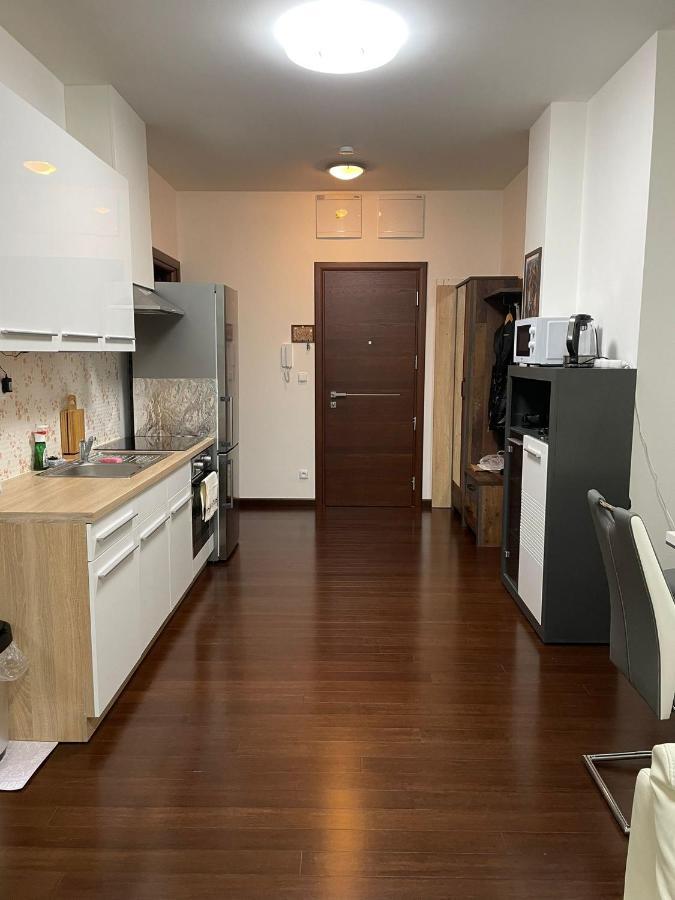 Moser Apartment